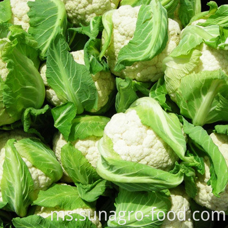 Bulk Organic Frozen Cauliflower